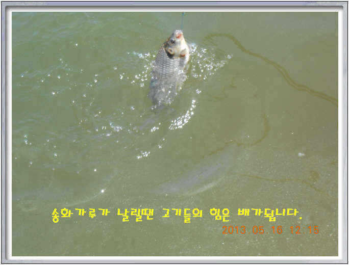 fish_pay_01484454.jpg
