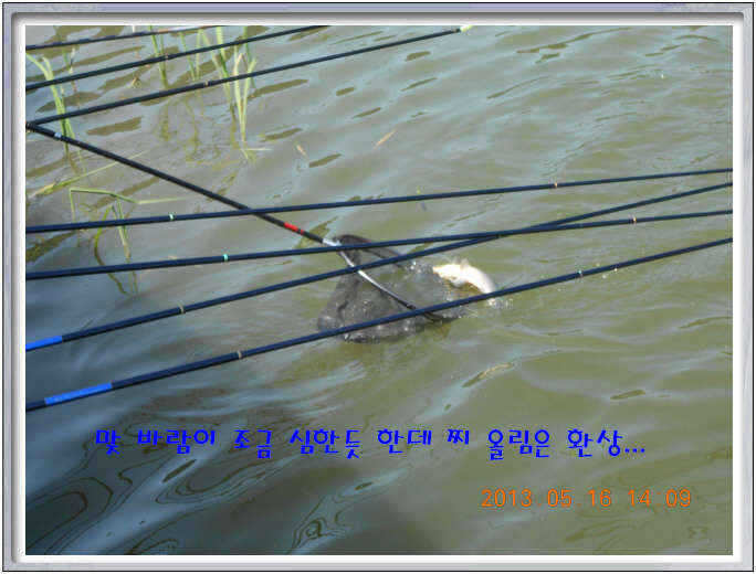 fish_pay_01492796.jpg