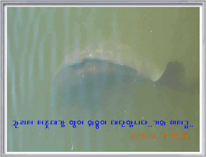 fish_pay_01495260.jpg