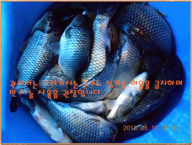 fish_pay_01513237.jpg