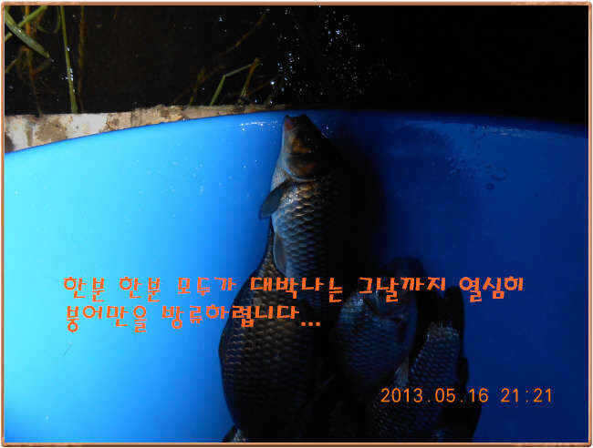 fish_pay_01514486.jpg