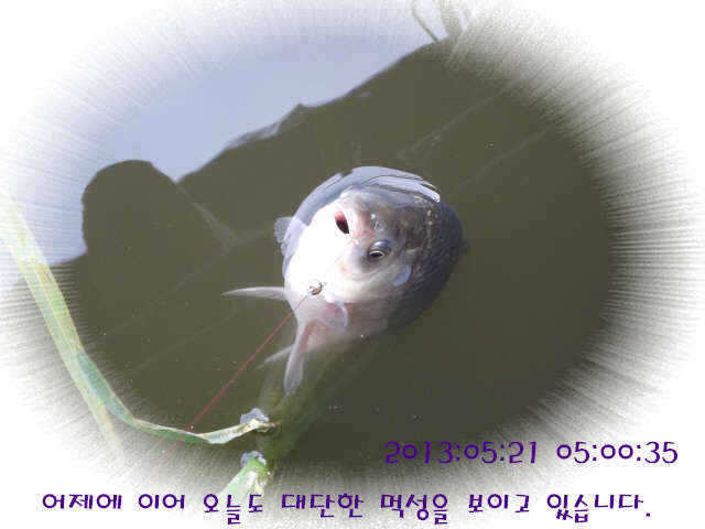 fish_pay_05211561.jpg
