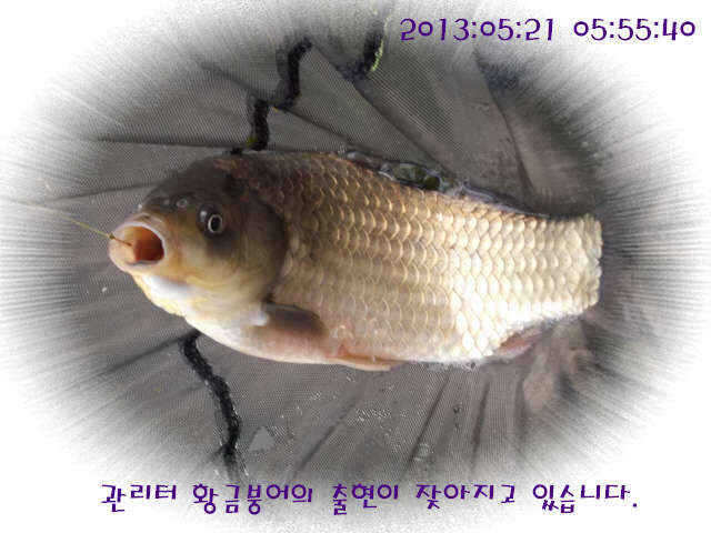 fish_pay_05214910.jpg