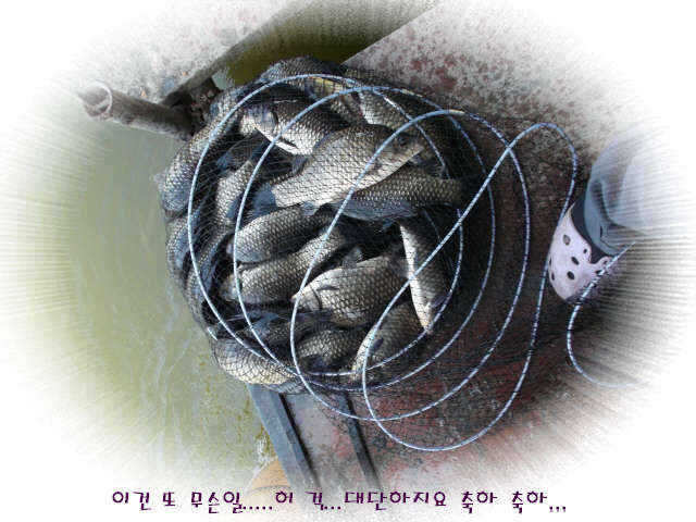 fish_pay_05262427.jpg