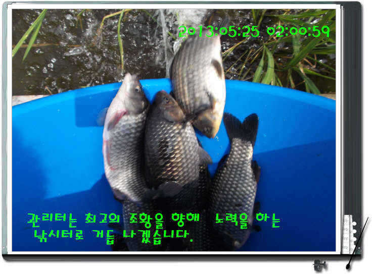 fish_pay_05264693.jpg