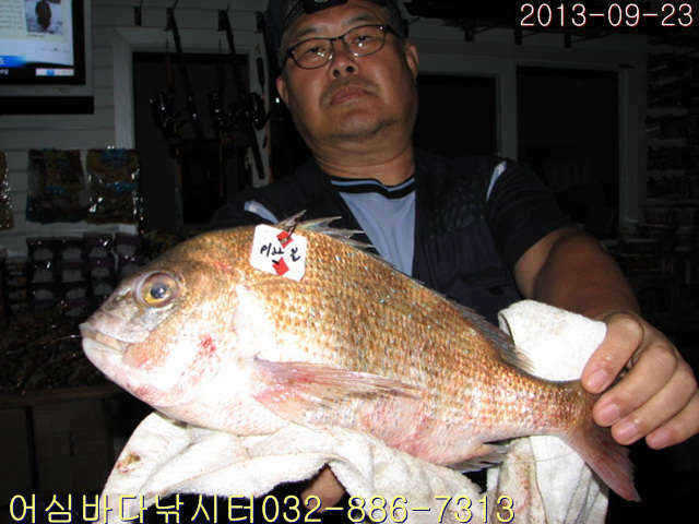 fish_pay_09153917.jpg