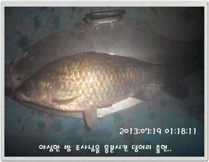 fish_pay_10372852.jpg