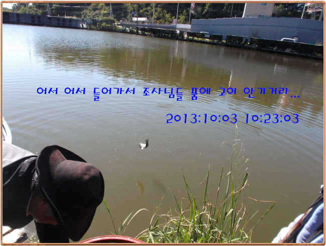 fish_pay_10571847.jpg