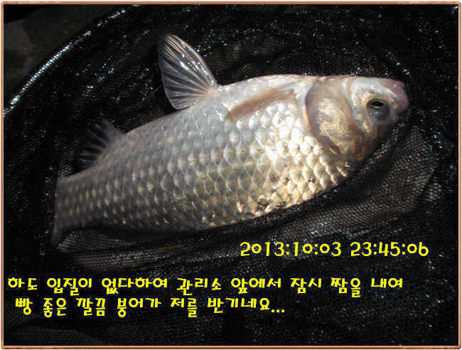 fish_pay_1057587.jpg