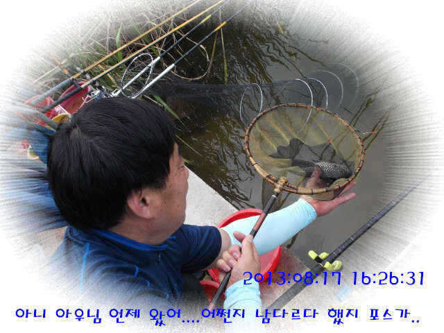 fish_pay_11092654.jpg