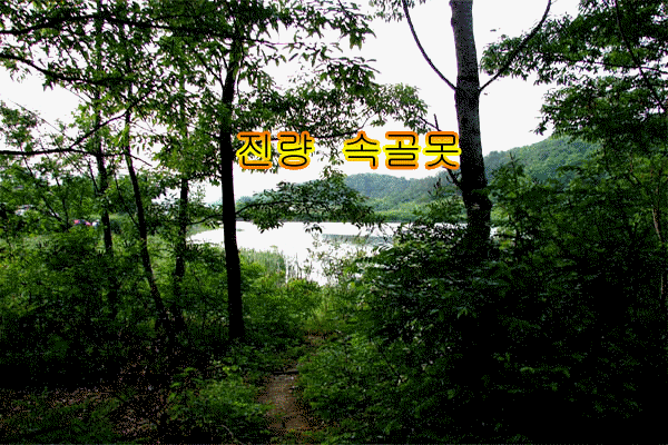DSC00990.gif