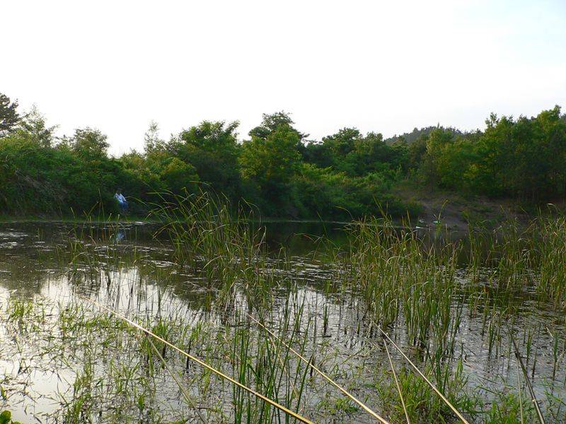 photo%201120.jpg
