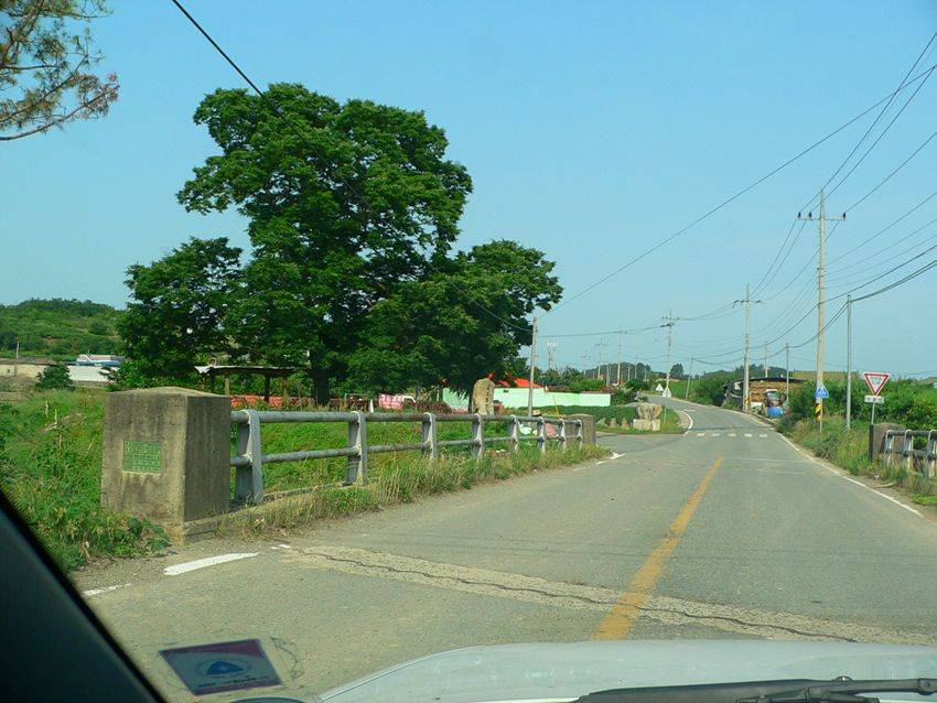 photo%201165.jpg