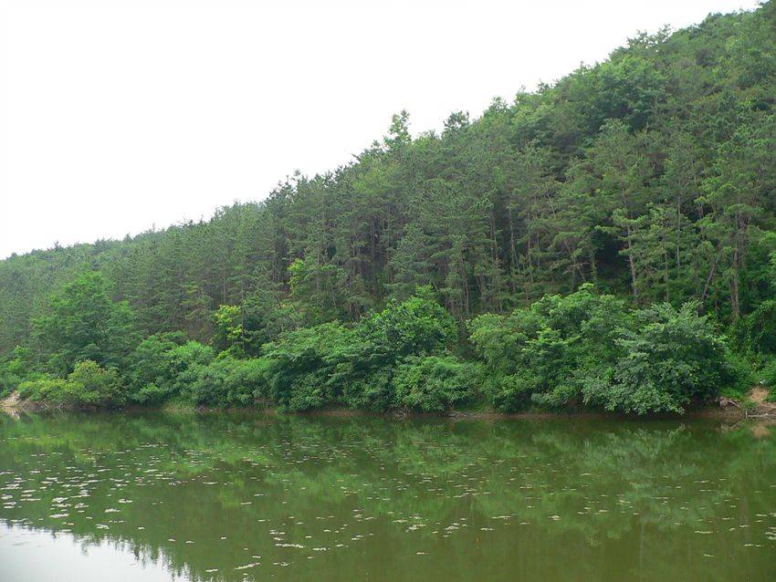 photo%201176.jpg