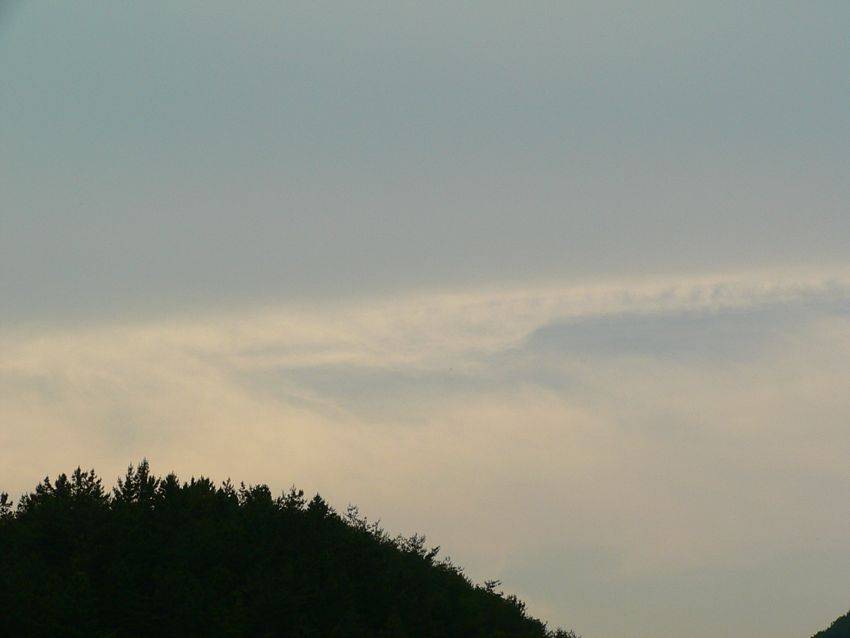 photo%201177.jpg