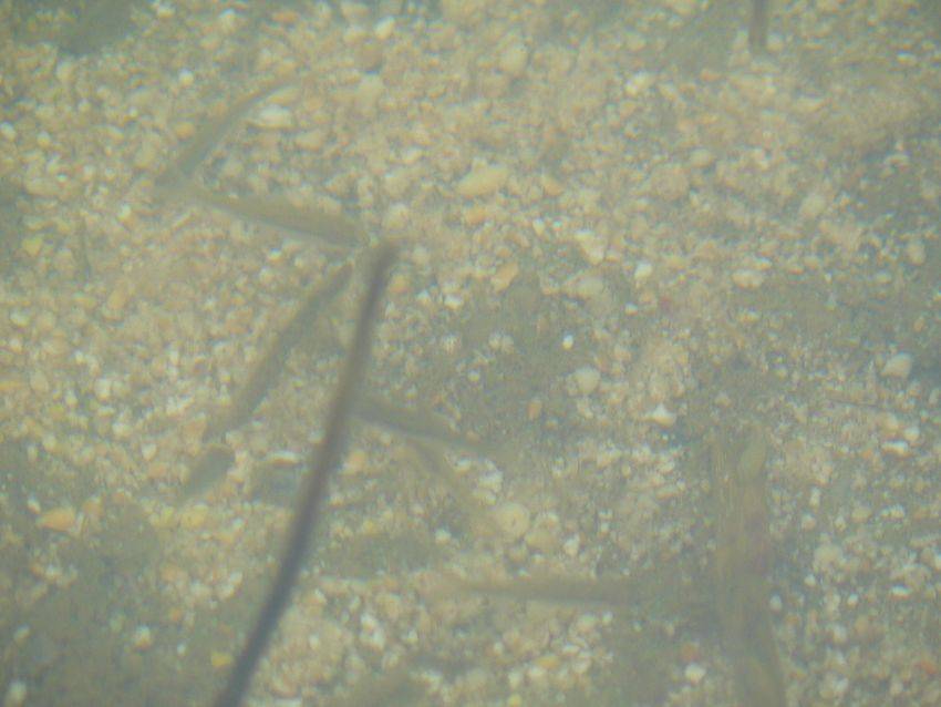 photo%201186.jpg
