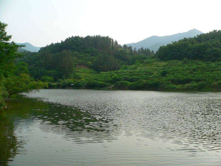 photo%201196.jpg