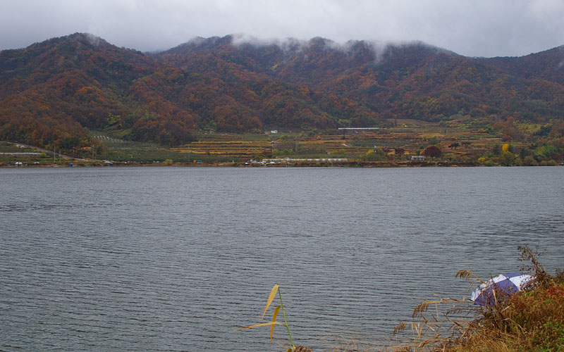 IMGP1303.jpg