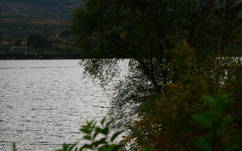 IMGP1557.jpg