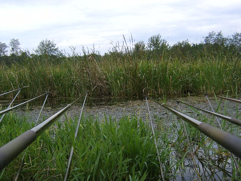 SA500089-35.JPG