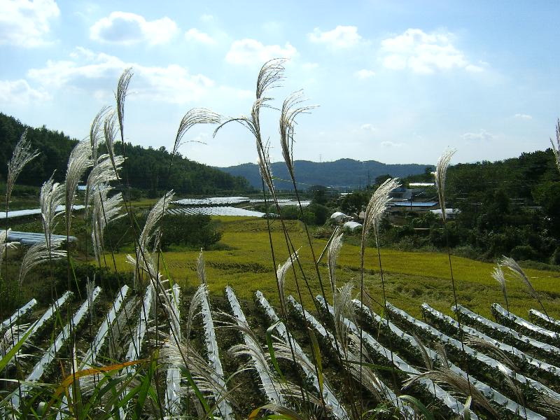 SA500122-36.JPG
