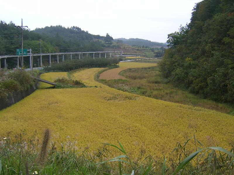 SA500153-36.JPG