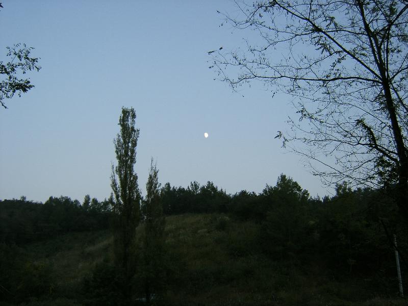 SA500133-37.JPG