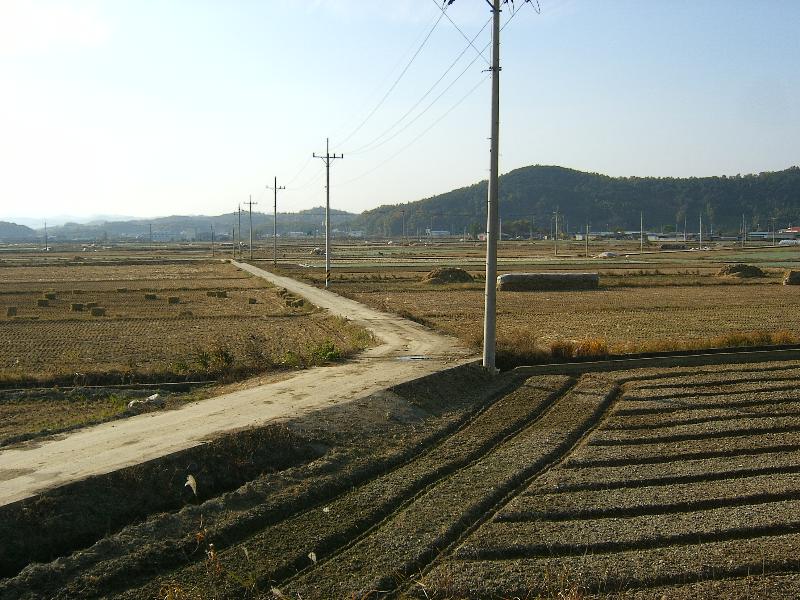 SA500058-39.JPG