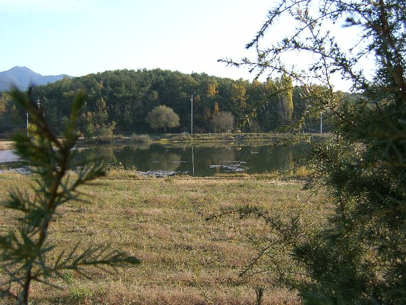 SA500069-39.JPG