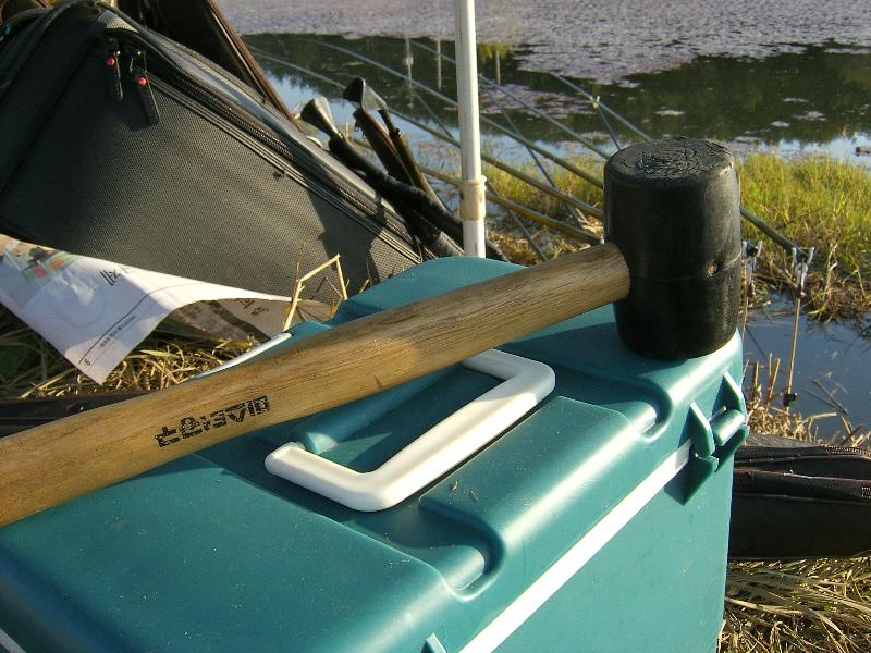 SA500086-39.JPG