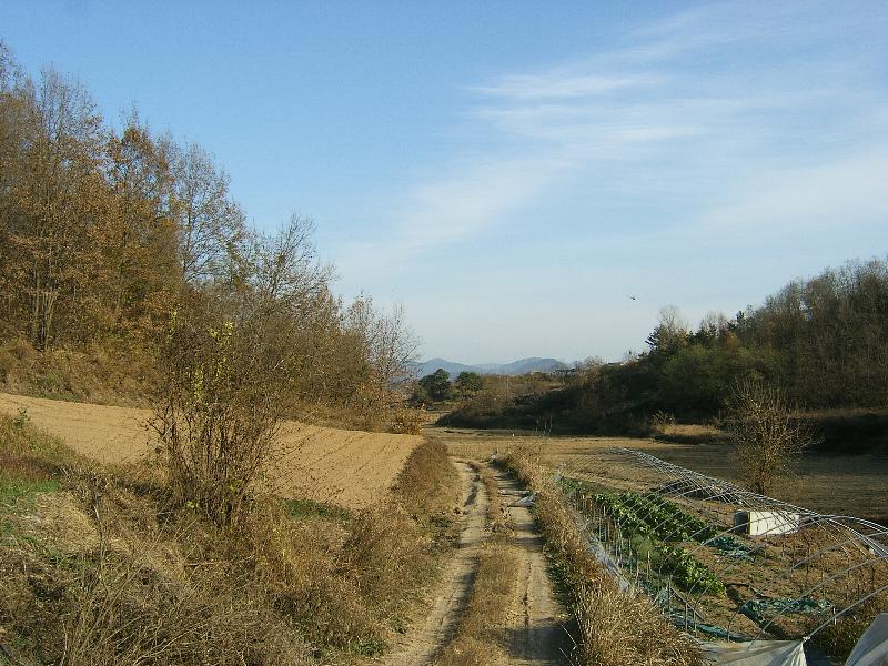 SA500001-40.JPG