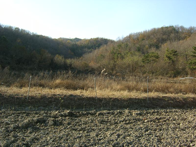 SA500018-40.JPG