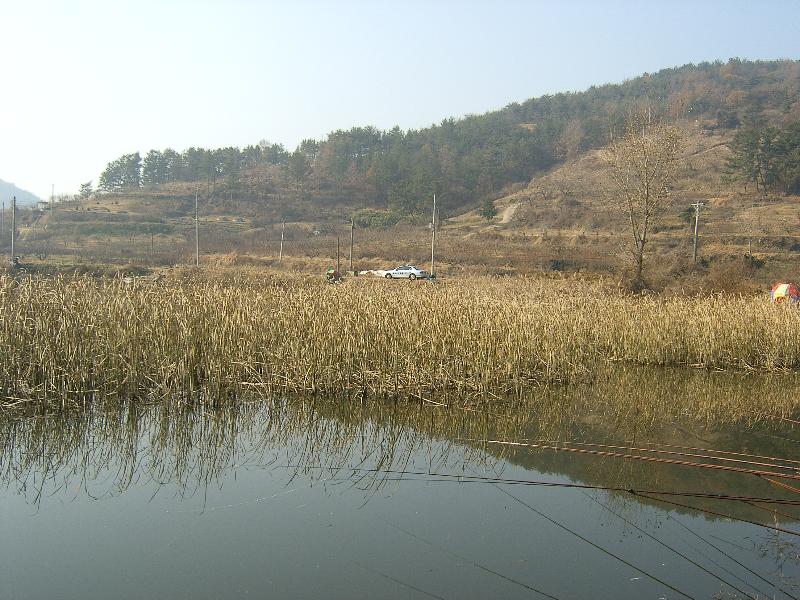 SA500021-41.JPG