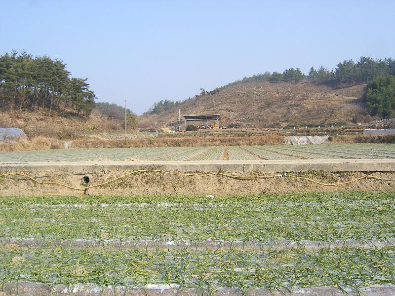 SA500022-41.JPG