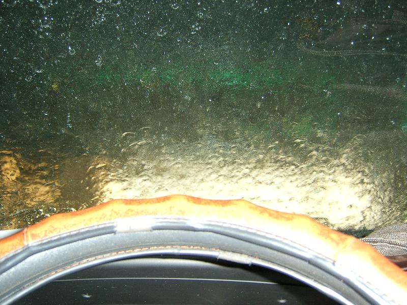 SA500081-41.JPG