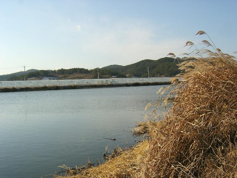 SA500134-42.JPG