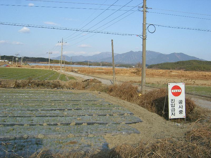 SA500158-42.JPG
