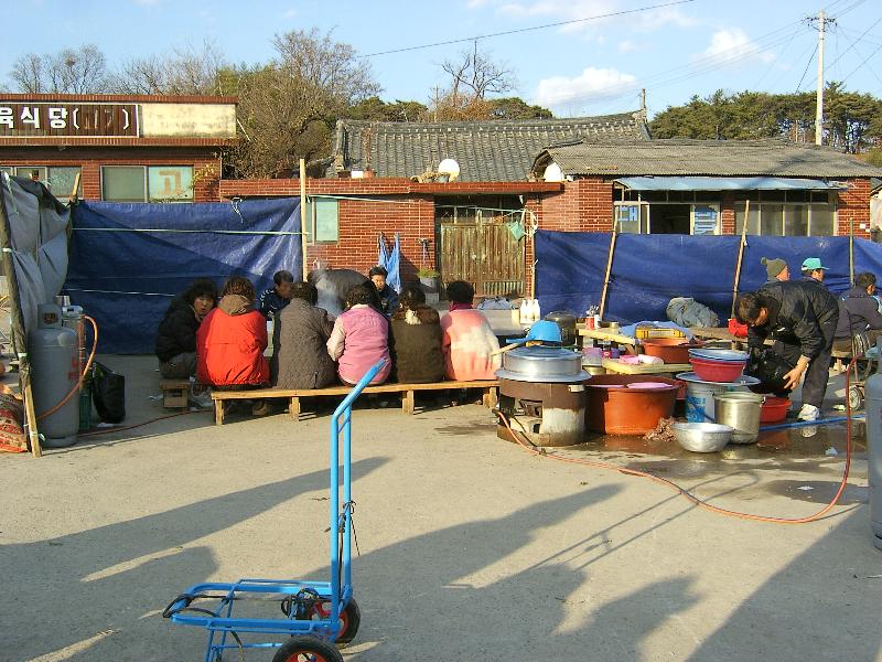 SA500163-42.JPG
