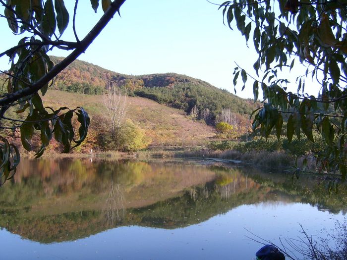 S4200096.jpg