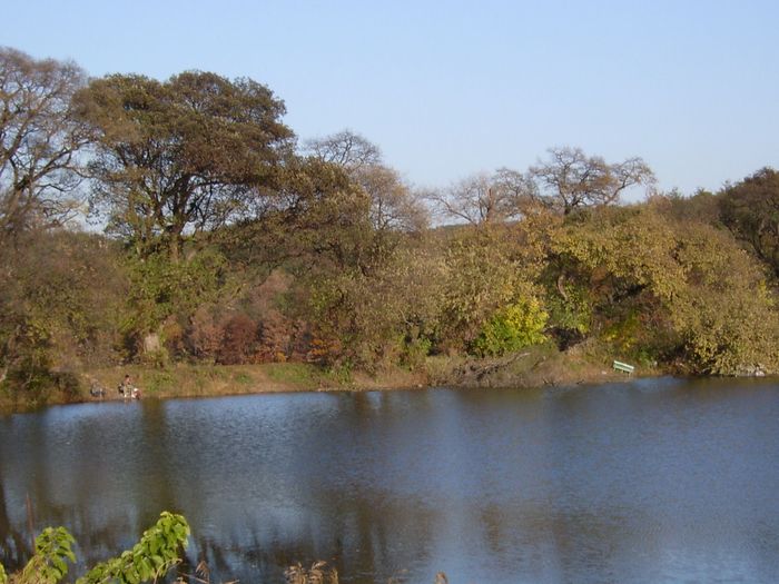 S4200099.jpg
