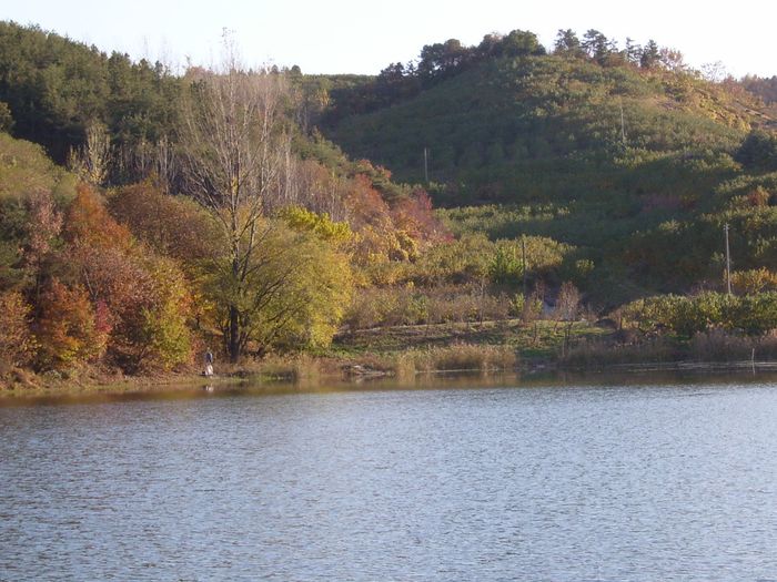 S4200103.jpg