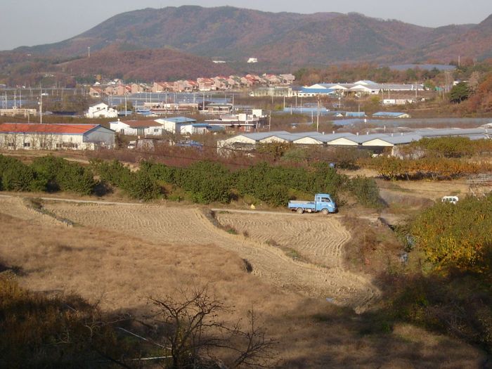 S4200106.jpg