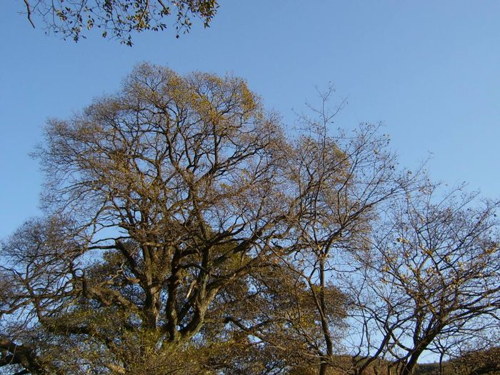 S4200107.jpg
