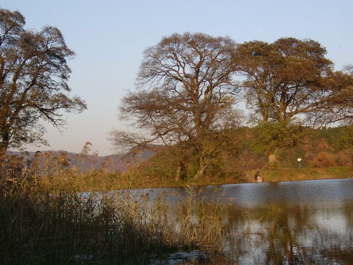 S4200111.jpg