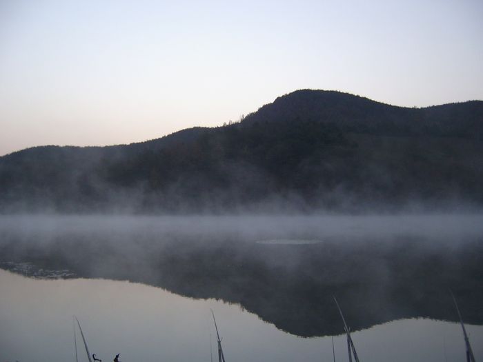 S4200115.jpg