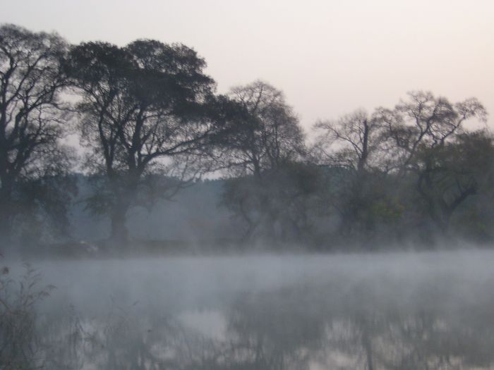 S4200117.jpg