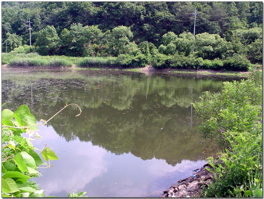 20050617_07.jpg