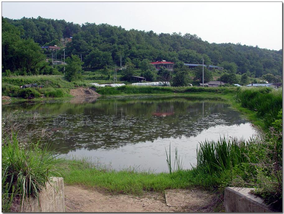 20050617_14.jpg
