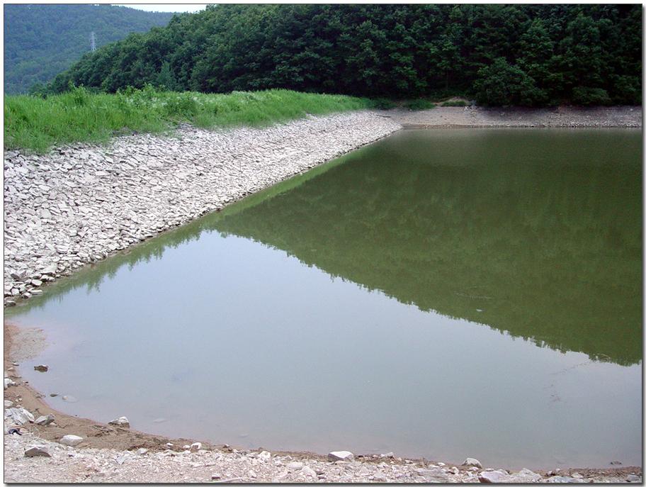 20050617_17.jpg