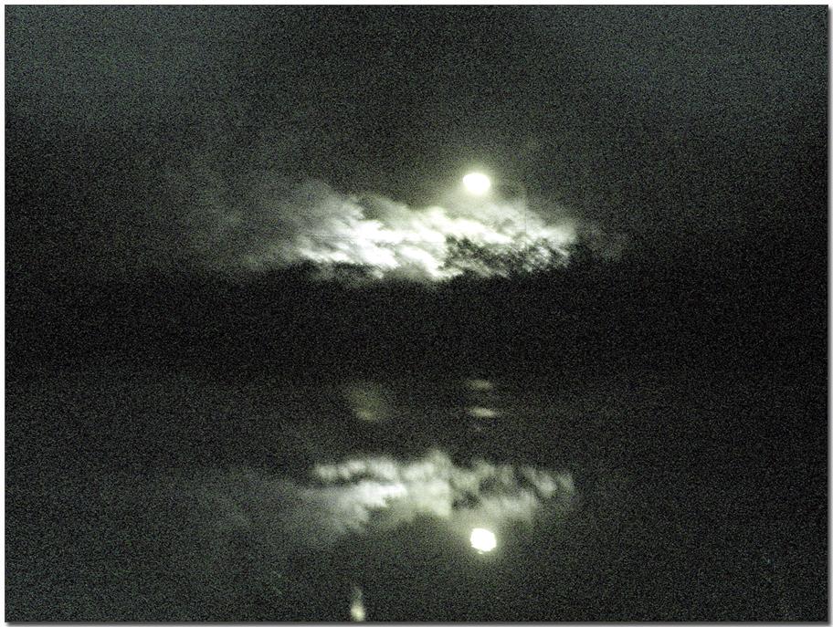 20050617_51.jpg